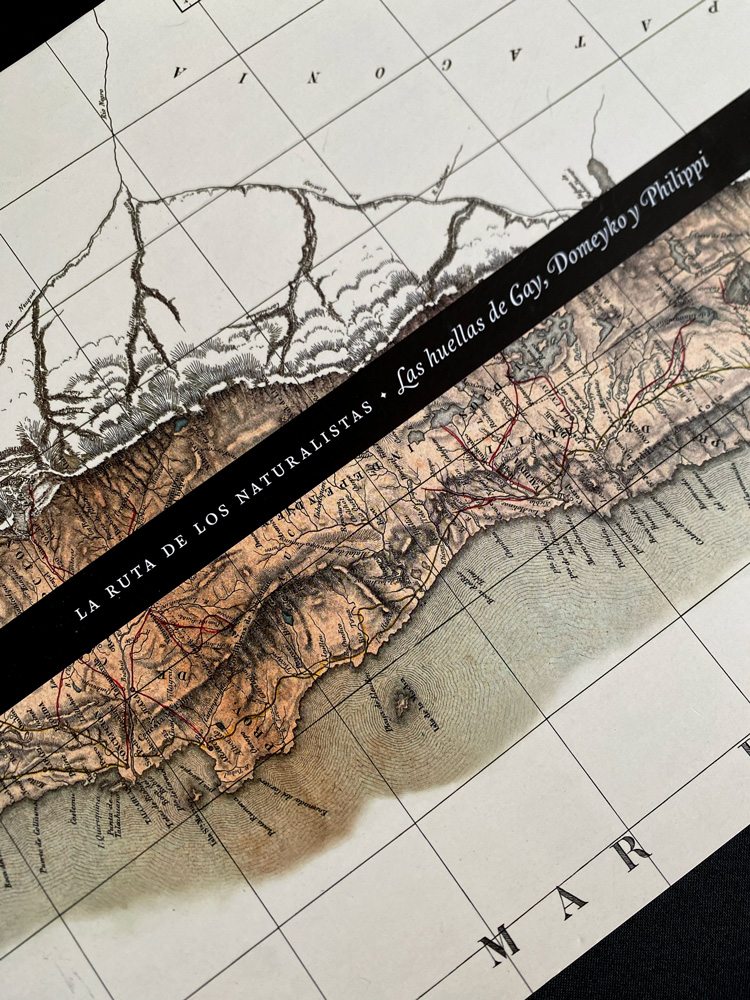 LA RUTA DE LOS NATURALISTAS