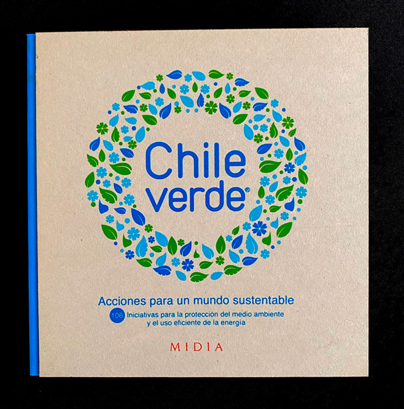 CHILE VERDE