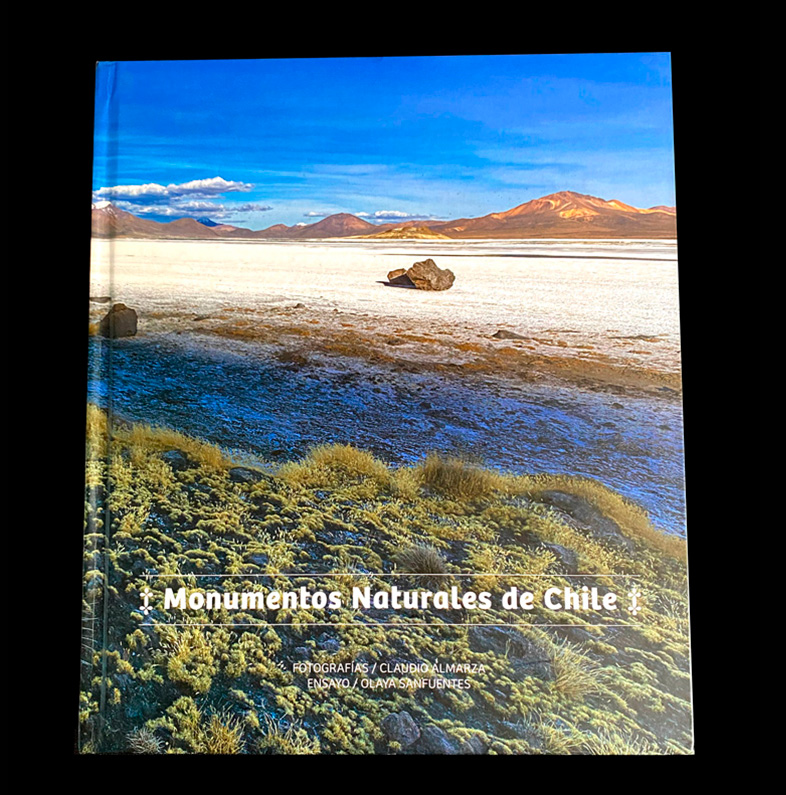 MONUMENTOS NATURALES DE CHILE