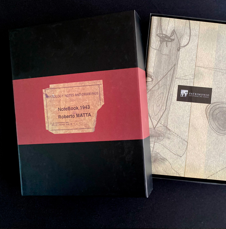 NOTEBOOK DE ROBERTO MATTA