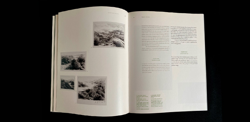 JUAN GRIMM, ARQUITECTURA DEL PAISAJE