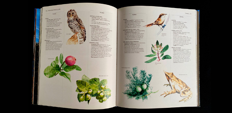 MONUMENTOS NATURALES DE CHILE