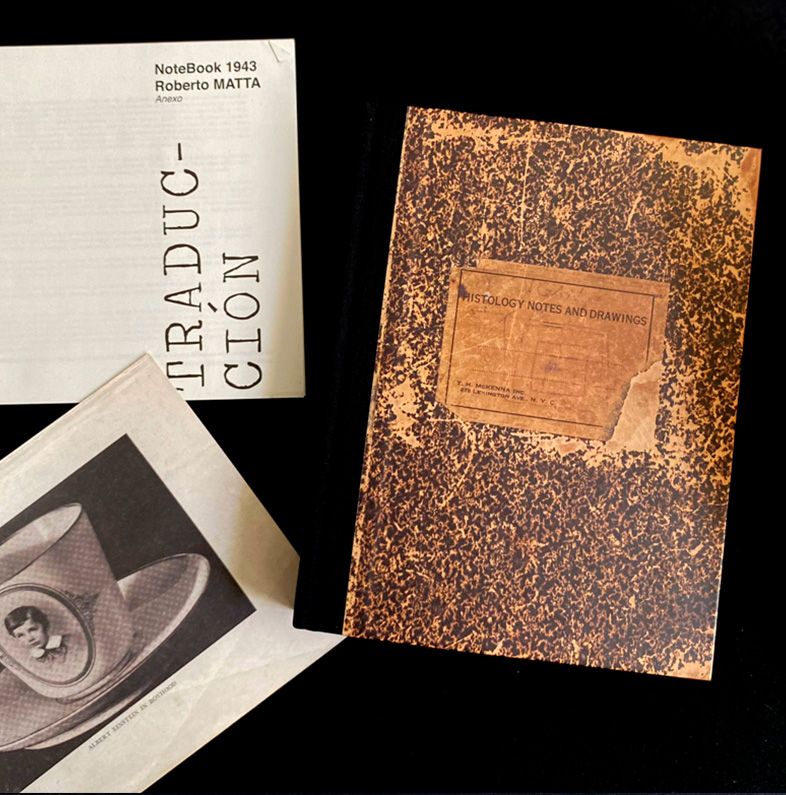 NOTEBOOK DE ROBERTO MATTA