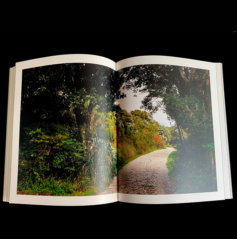 JUAN GRIMM, ARQUITECTURA DEL PAISAJE