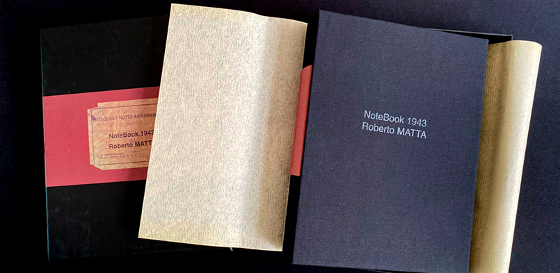 NOTEBOOK DE ROBERTO MATTA