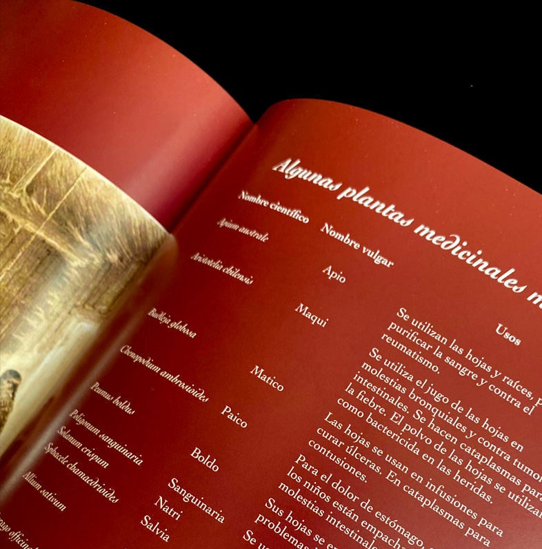 HISTORIA DE LA FARMACIA EN CHILE