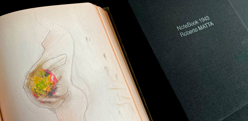 NOTEBOOK DE ROBERTO MATTA