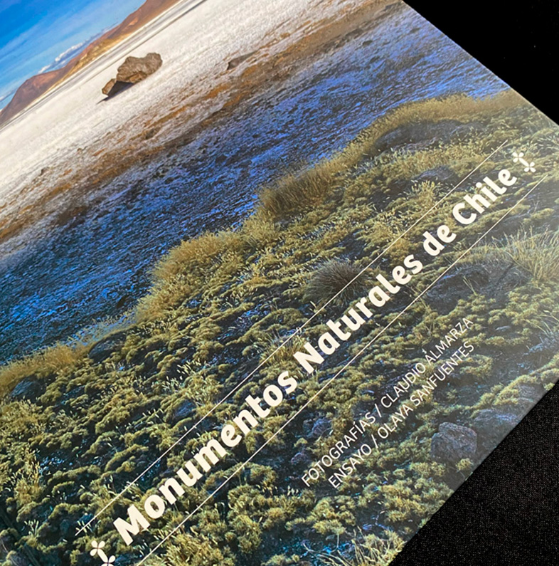 MONUMENTOS NATURALES DE CHILE